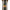 TRUTH BMX - 20" MAIN EVENT CRO-MO TRIPLE BUTTED BMX RACE FRAME