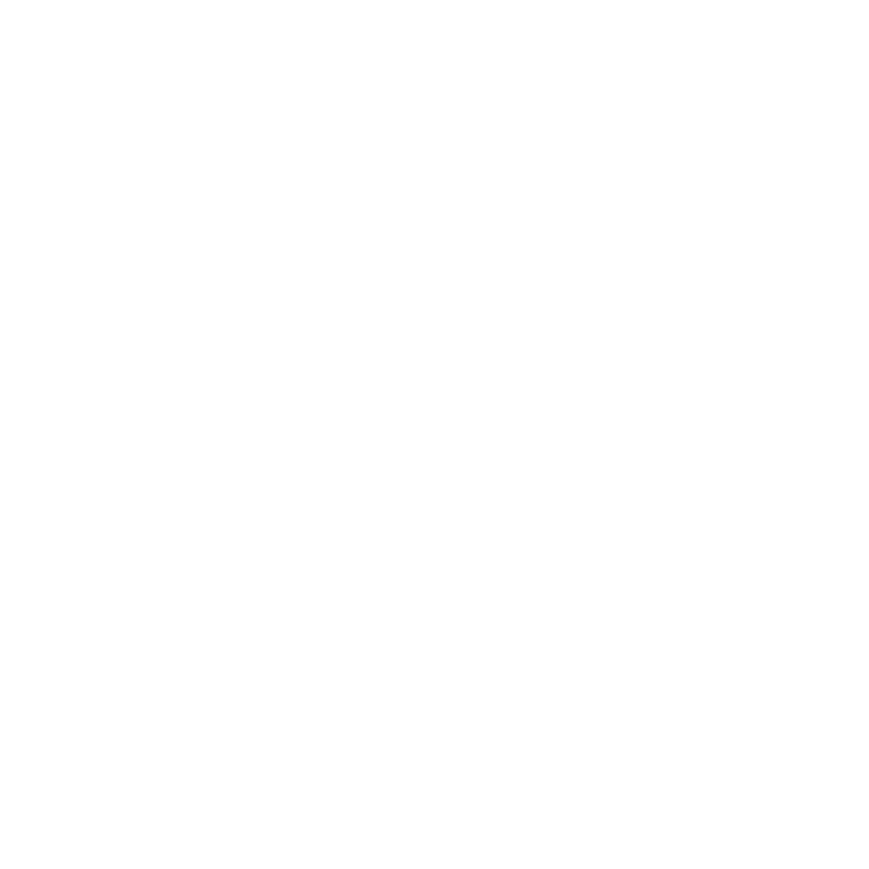 HANDLEBARS - TRUTH BMX