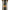 TRUTH BMX | 20"  MAIN EVENT CRO-MO TRIPLE BUTTED BMX RACE FRAME